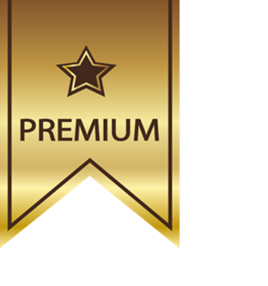 Premium icons. Premium. Значок Premium. Значок премиум качество. Премиум класс значок.